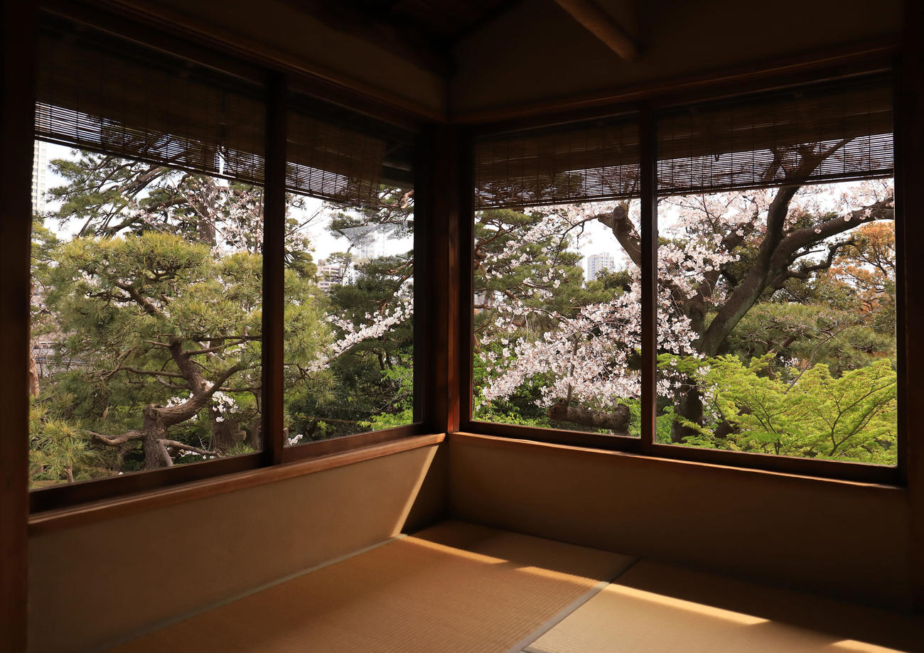 八芳園の料亭「壺中庵」の小窓からは色鮮やかな桜と庭園の緑が風情ある瞬間を作り出す