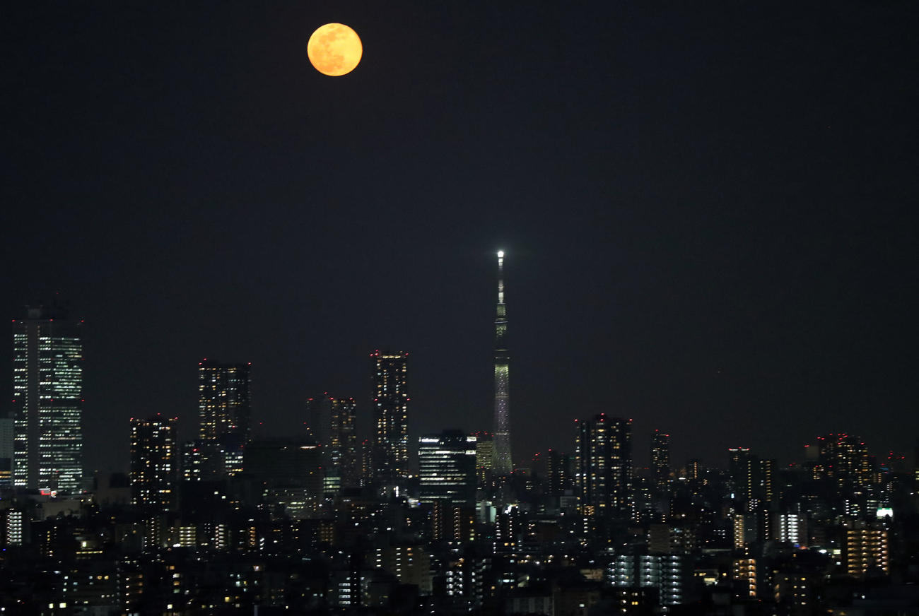 スカイツリーを前に都心に大きく浮かんだスーパームーン（撮影・狩俣裕三）