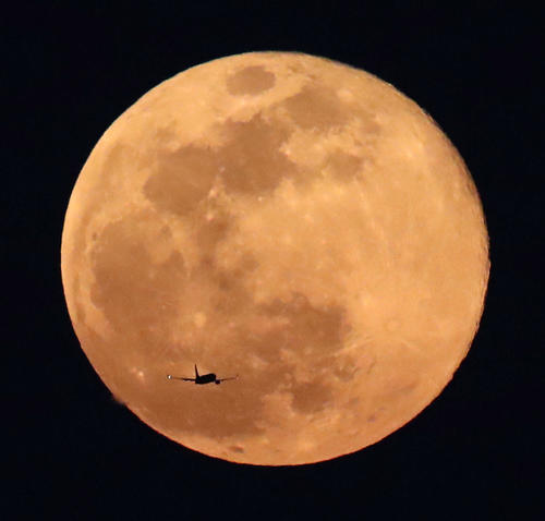 2020年で地球に最も近く、いつもより大きく明るく輝いて見える満月「スーパームーン」＝8日午後6時43分（撮影・江口和貴）