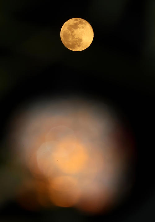 緊急事態宣言発効後初めての夕暮れ、さいたま市内の街灯の奥にはスーパームーンと呼ばれる月が明るく輝いていた（撮影・浅見桂子）