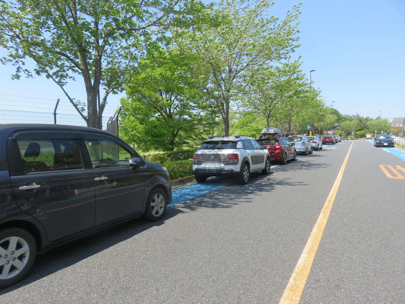 駐車場が閉鎖された都立武蔵野の森公園の周辺道路には違法駐車の列ができていた（一部加工）