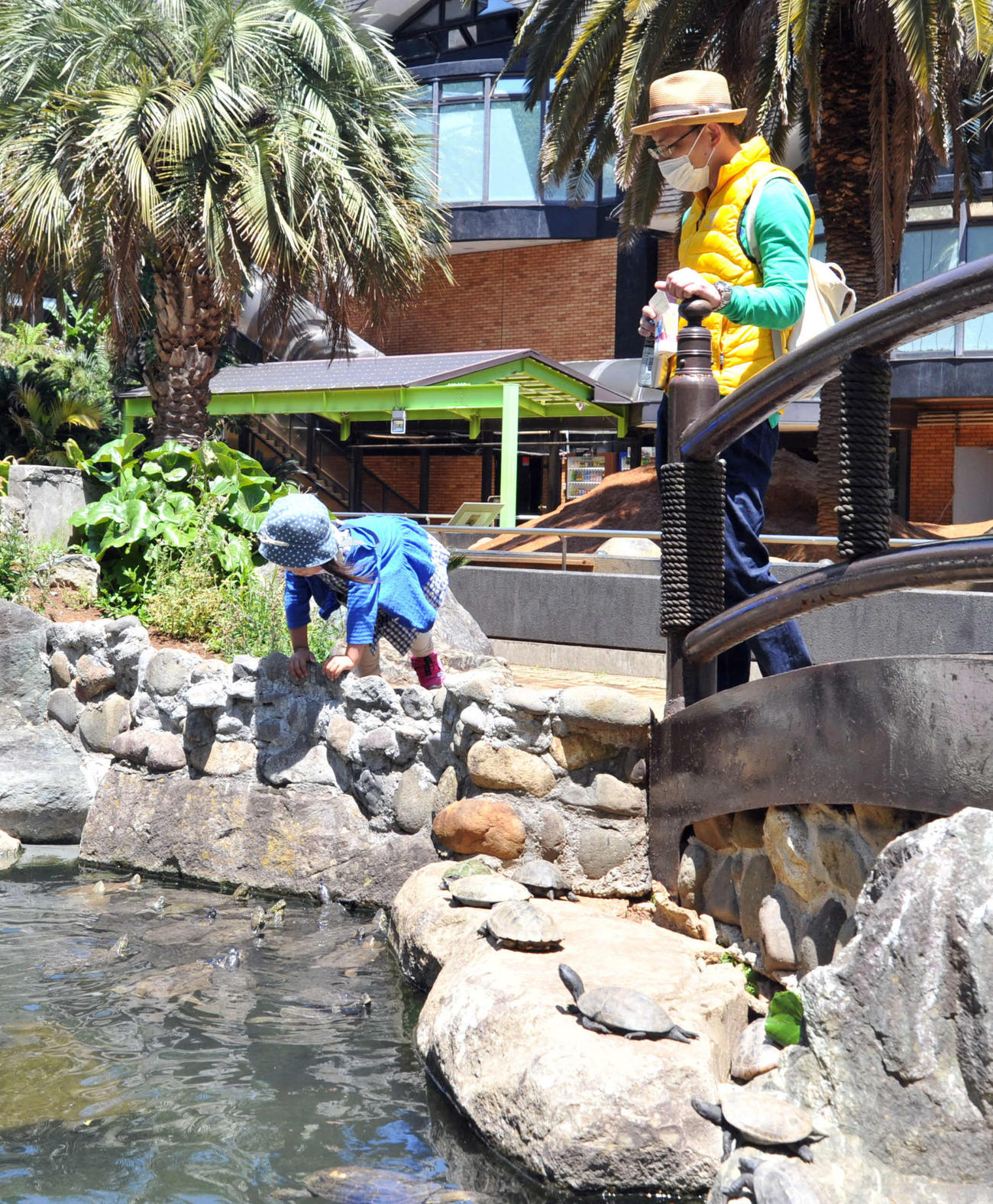 iZooに来園した人が、池をのぞき込む