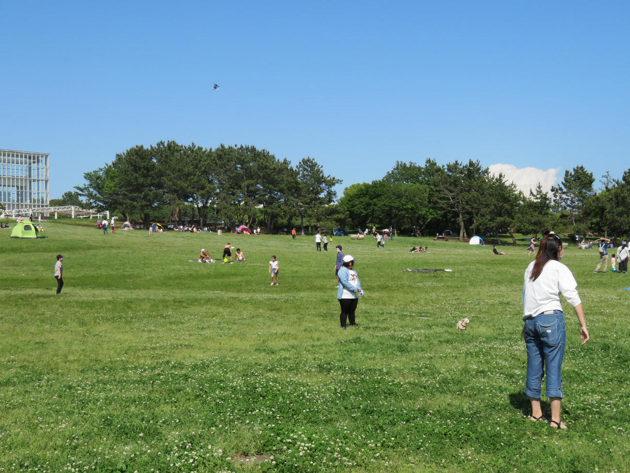 葛西臨海公園では、多くの人がソーシャルディスタンスを確保しながら楽しんでいた（撮影・佐藤勝亮）