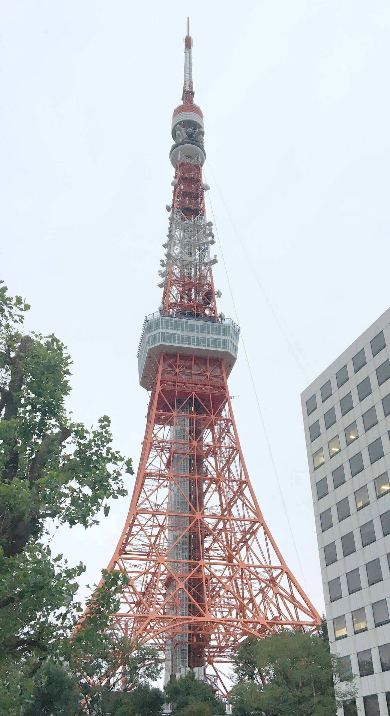 東京タワー（2019年10月22日撮影）