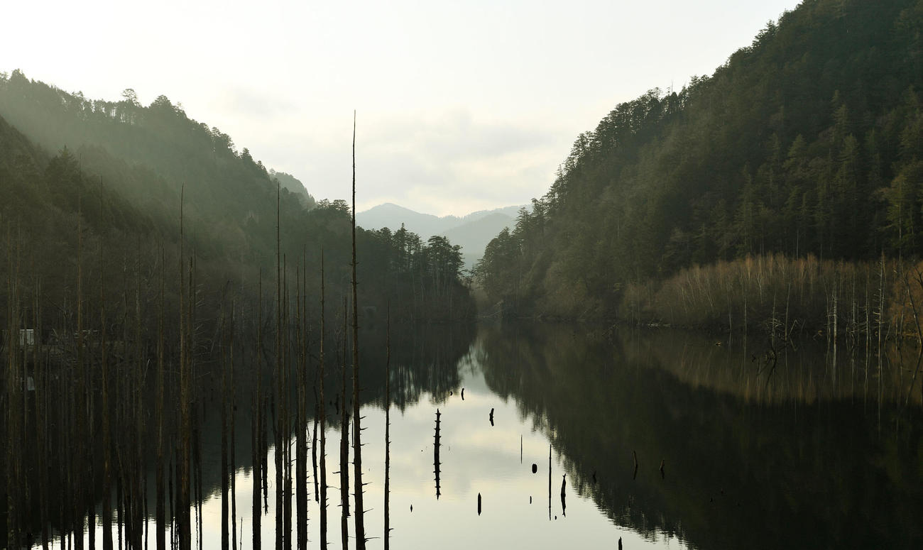 立ち枯れた木々が神秘的な自然湖（撮影・滝沢徹郎）