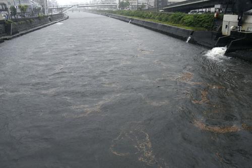 増水した長崎市の浦上川（共同）