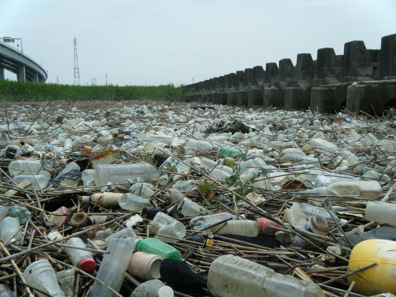 都市部の河口、河原などにはペットボトルなど大量のプラスチックごみがみられるところも（高田秀重教授提供）