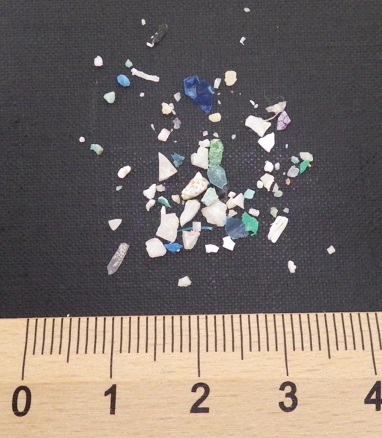 日本列島から1000キロ離れた太平洋上で気象庁が採取したマイクロプラスチック。これらにも有害化学物質が含まれている（高田秀重教授提供）