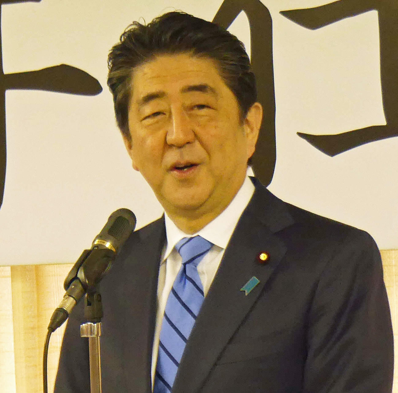 安倍晋三首相（2018年1月5日撮影）