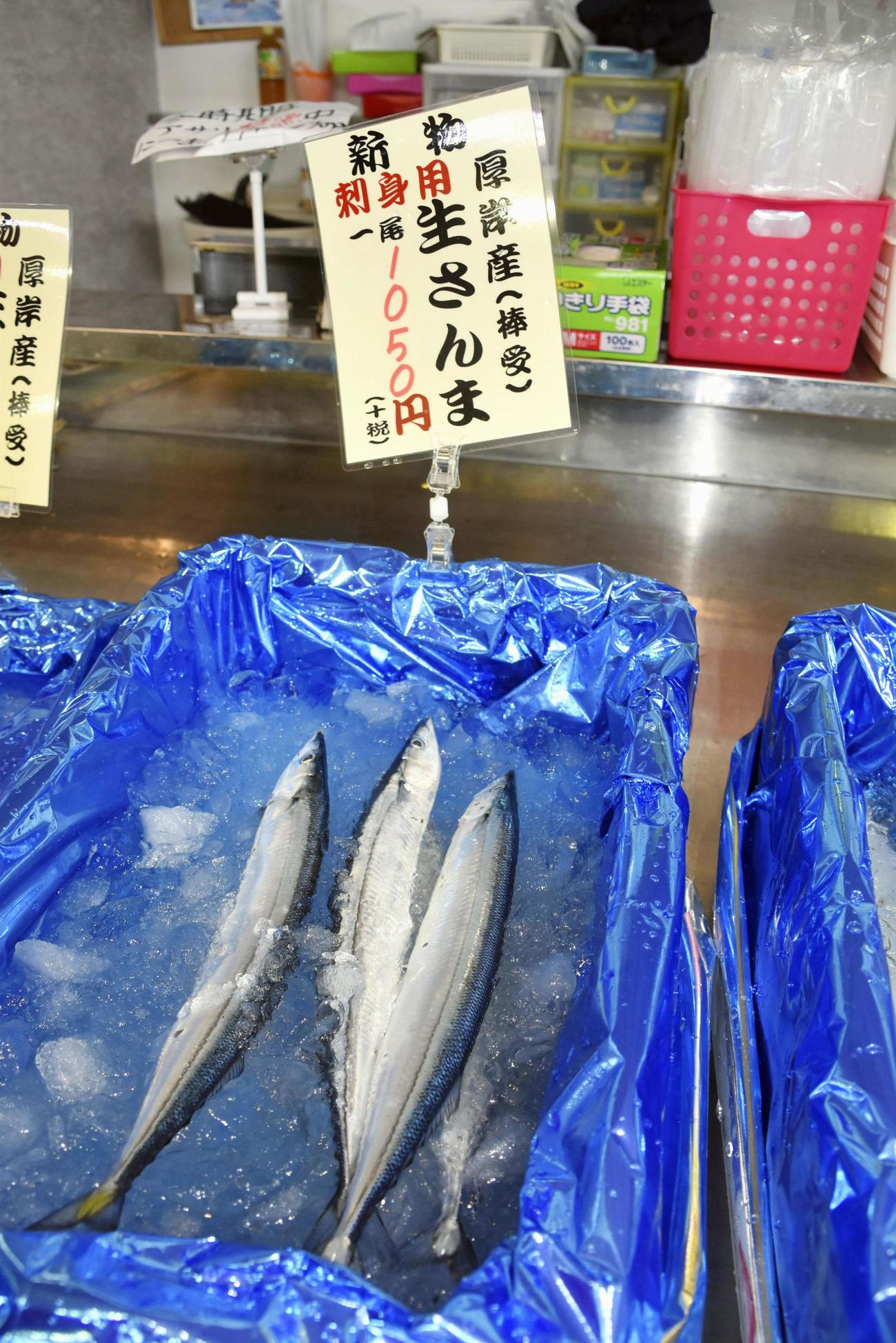 北海道サンマ高値で築地焦り 買ってみますけどね 社会 日刊スポーツ