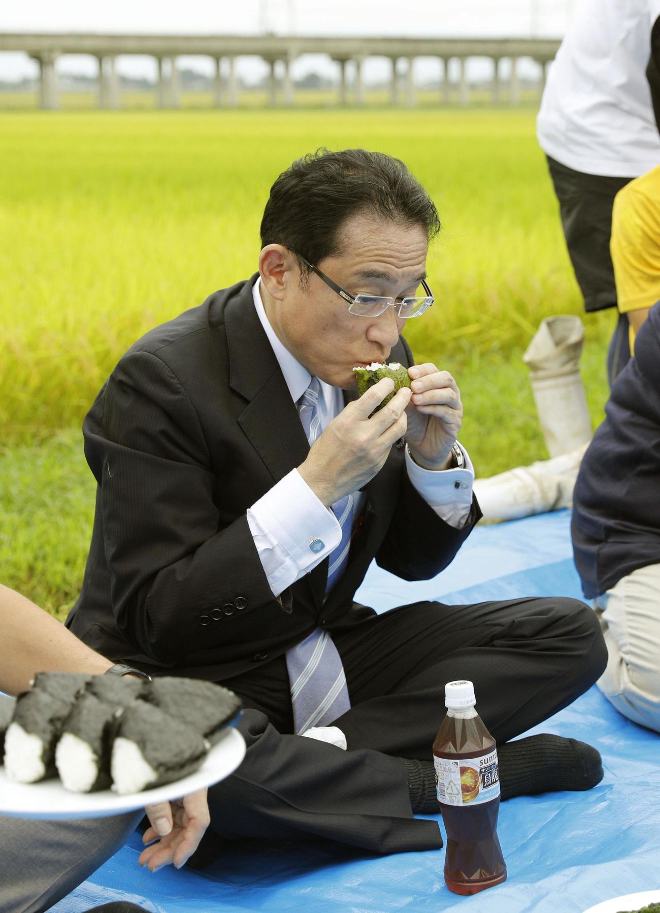 農地を視察し、おにぎりなどを試食する自民党の岸田政調会長＝10日午前（共同）