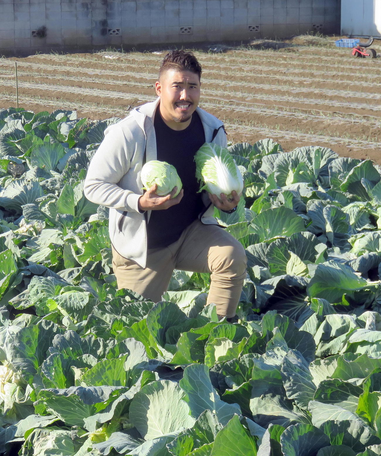 キャベツ畑の真ん中で収穫したキャベツとアメリカンフットボールに似ている形の白菜を手に笑顔を見せる岡田さん（撮影・鎌田直秀）