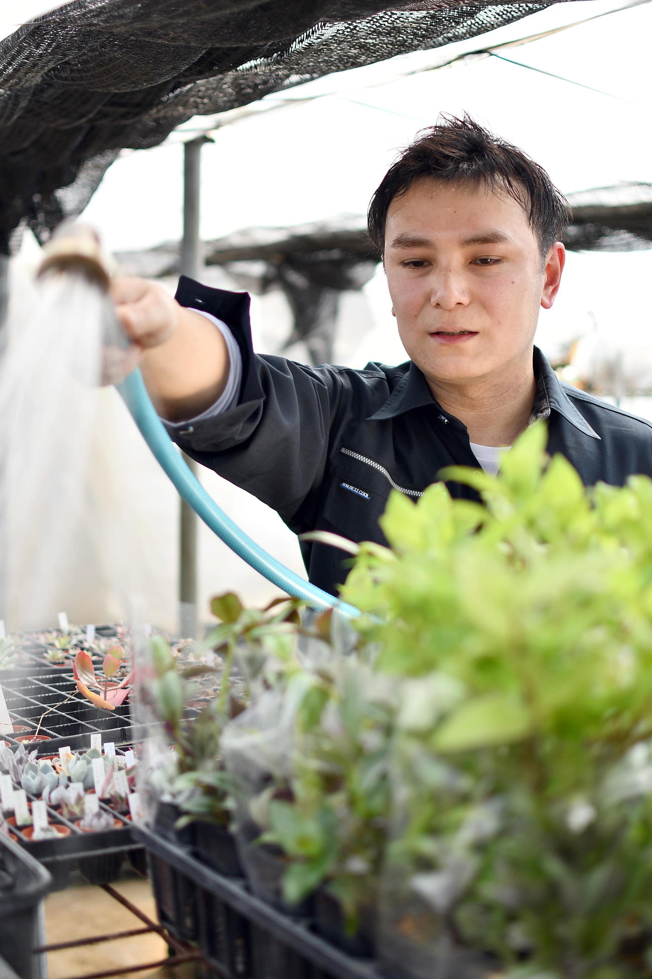 植物に水を与える高橋さん