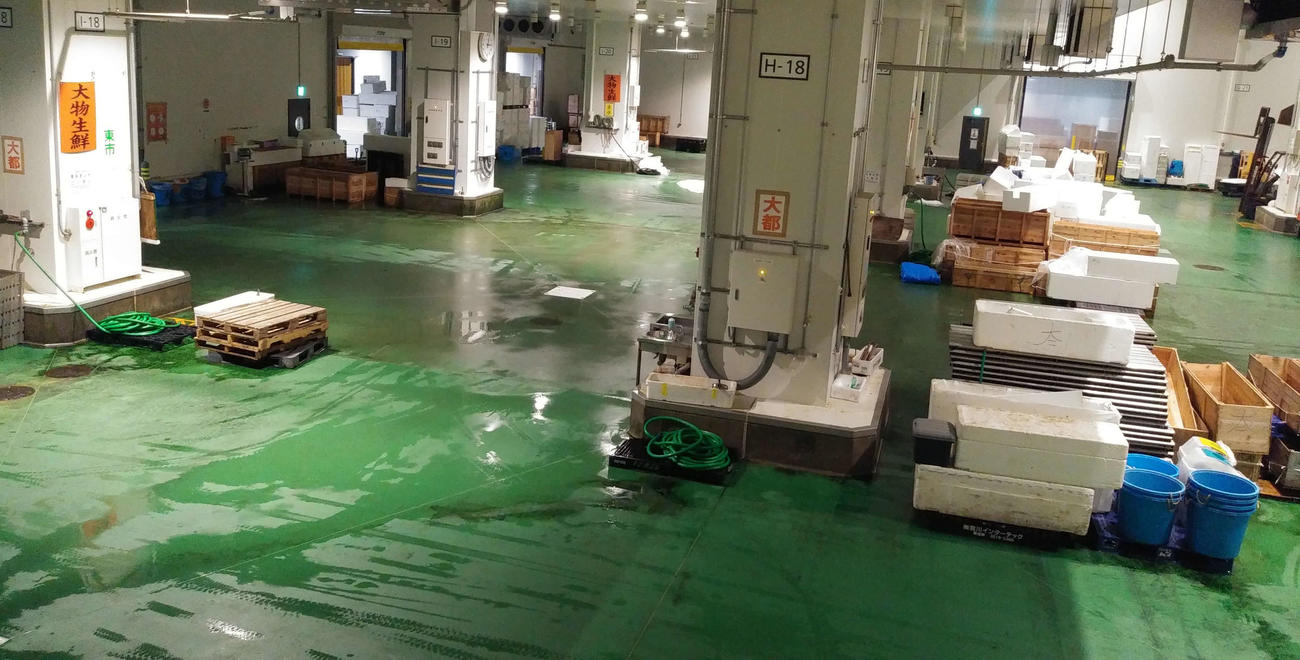 100キロ超の大型マグロしか横たわれない豊洲市場の「大型生鮮」の一角