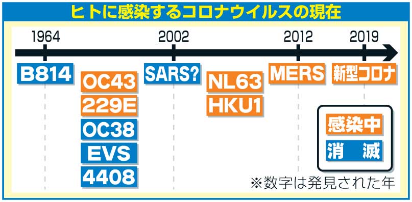 ヒトに感染するコロナウイルスの現在