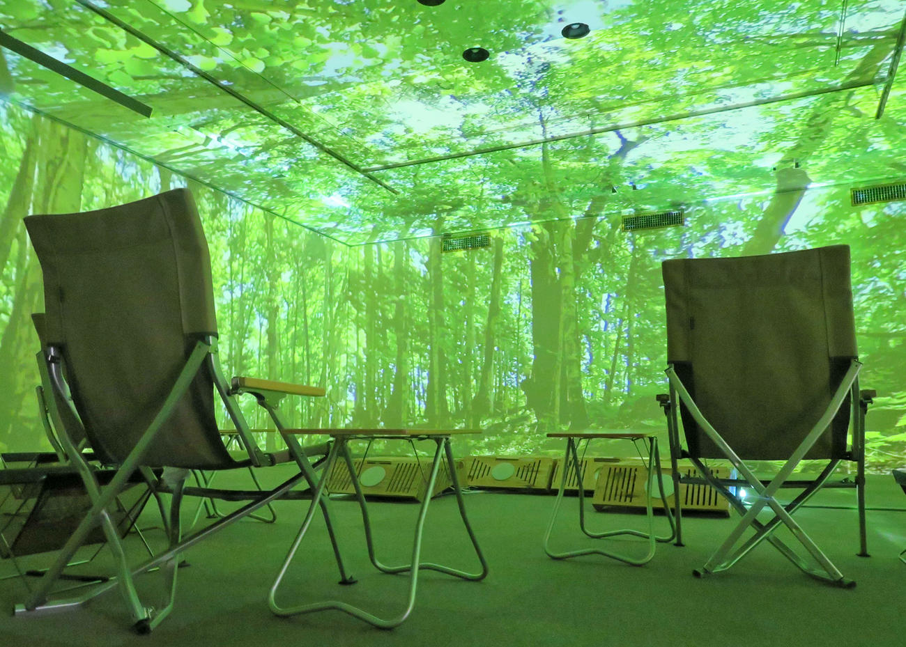 北海道十勝郡浦幌町の森林が映し出されたデジタル森林浴の様子（撮影・沢田直人）