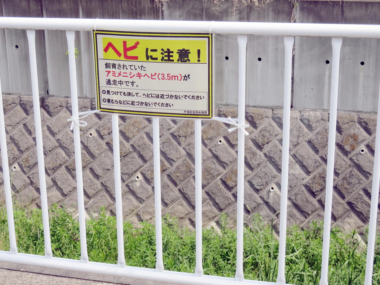 アミメニシキヘビが逃げ出した近くの名瀬川に掲示されている注意喚起を促す看板（撮影・鎌田直秀）