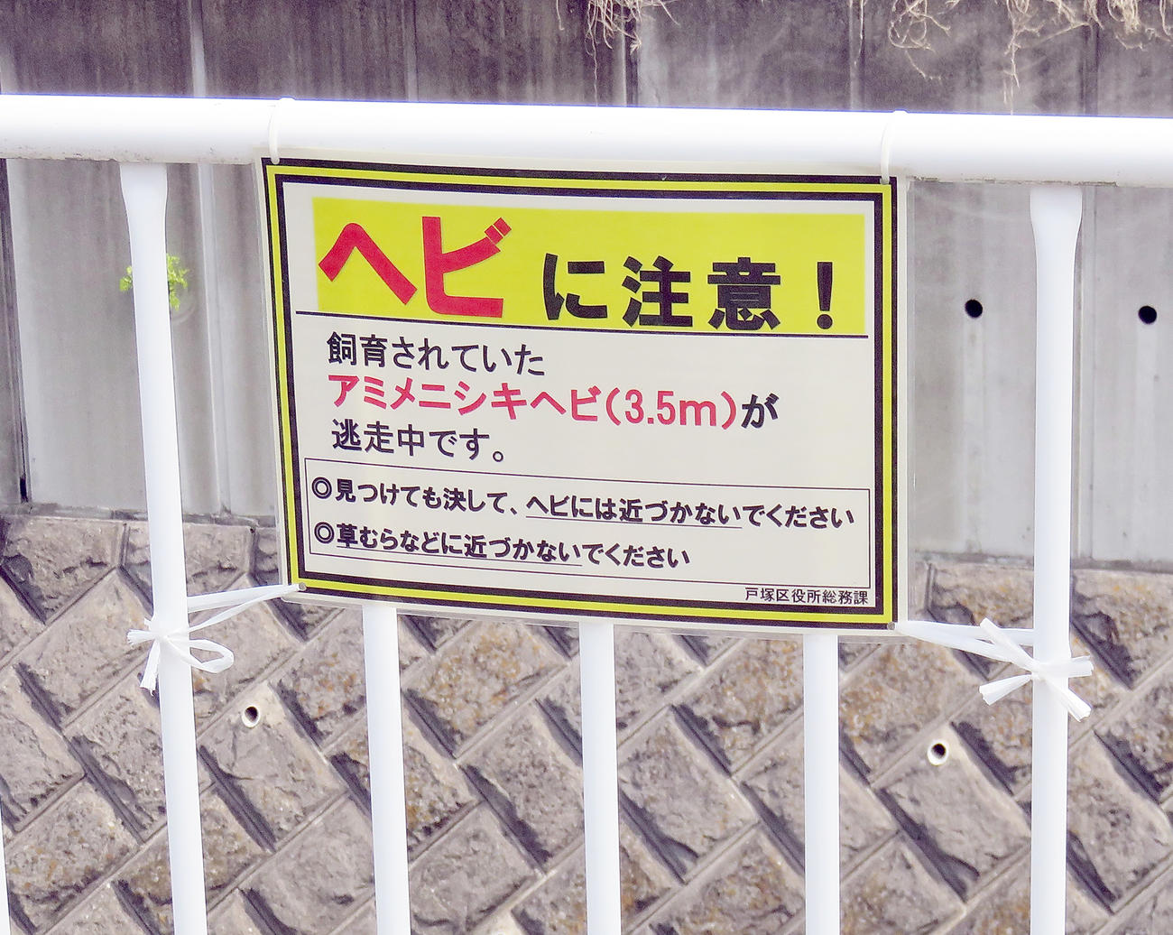 アミメニシキヘビが逃げ出した近くの名瀬川に掲示されている注意喚起を促す看板（撮影・鎌田直秀）