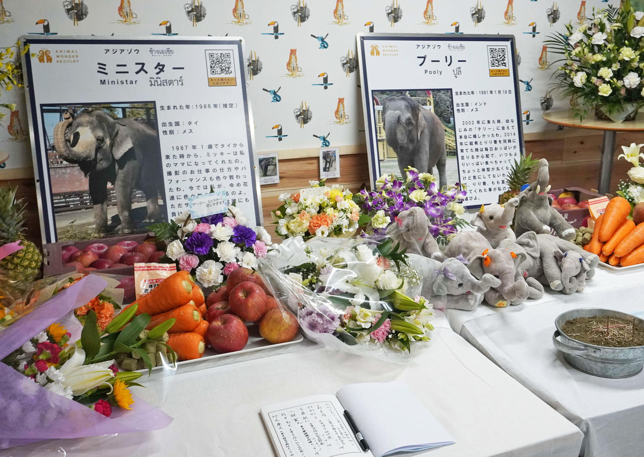 「市原ぞうの国」で17日に設置された「プーリー」と「ミニスター」の献花台（撮影・沢田直人）