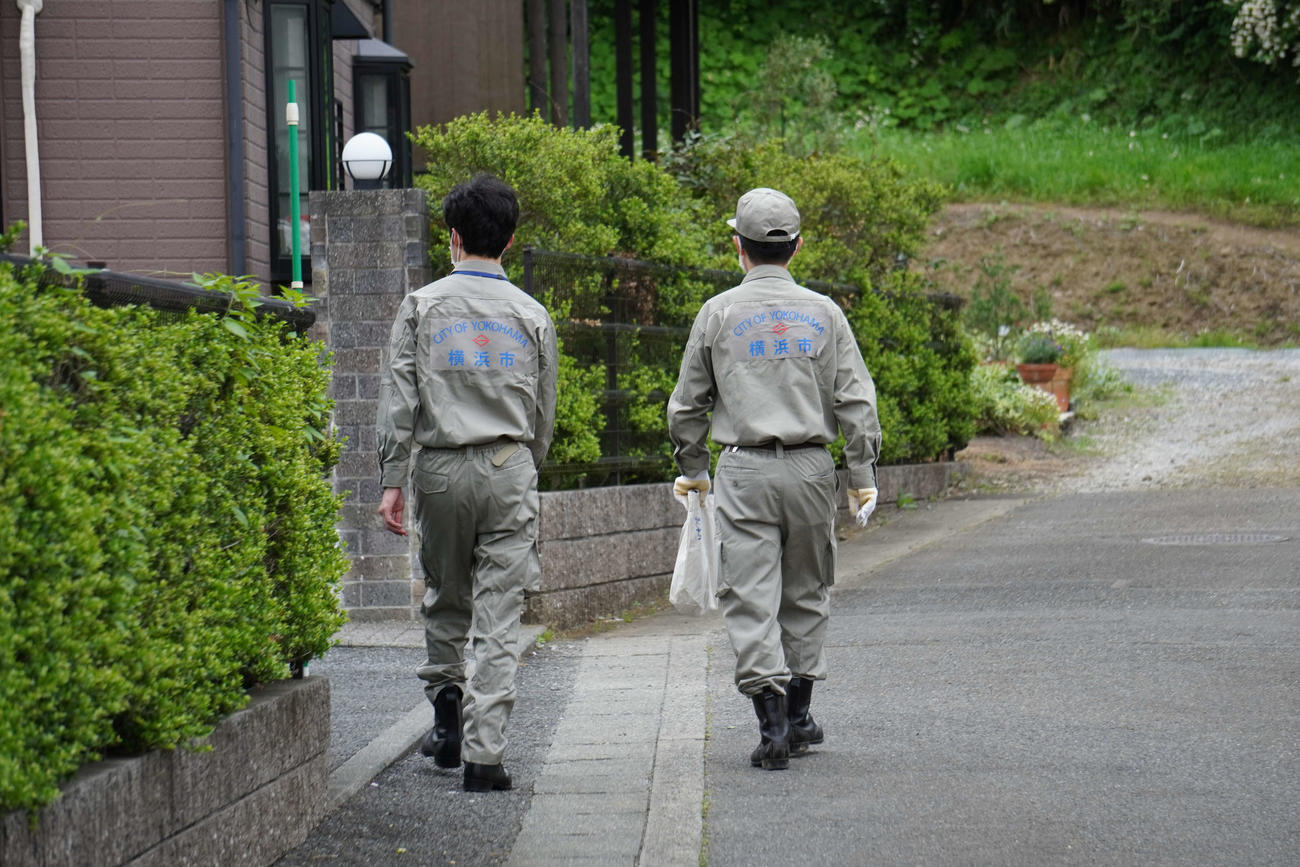 アミメニシキヘビの捜索を行う横浜市職員（撮影・沢田直人）