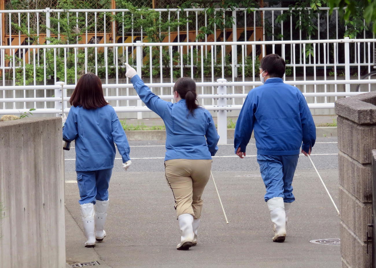 アミメニシキヘビの捜索を行う横浜市動物愛護センター職員たち（撮影・鎌田直秀）