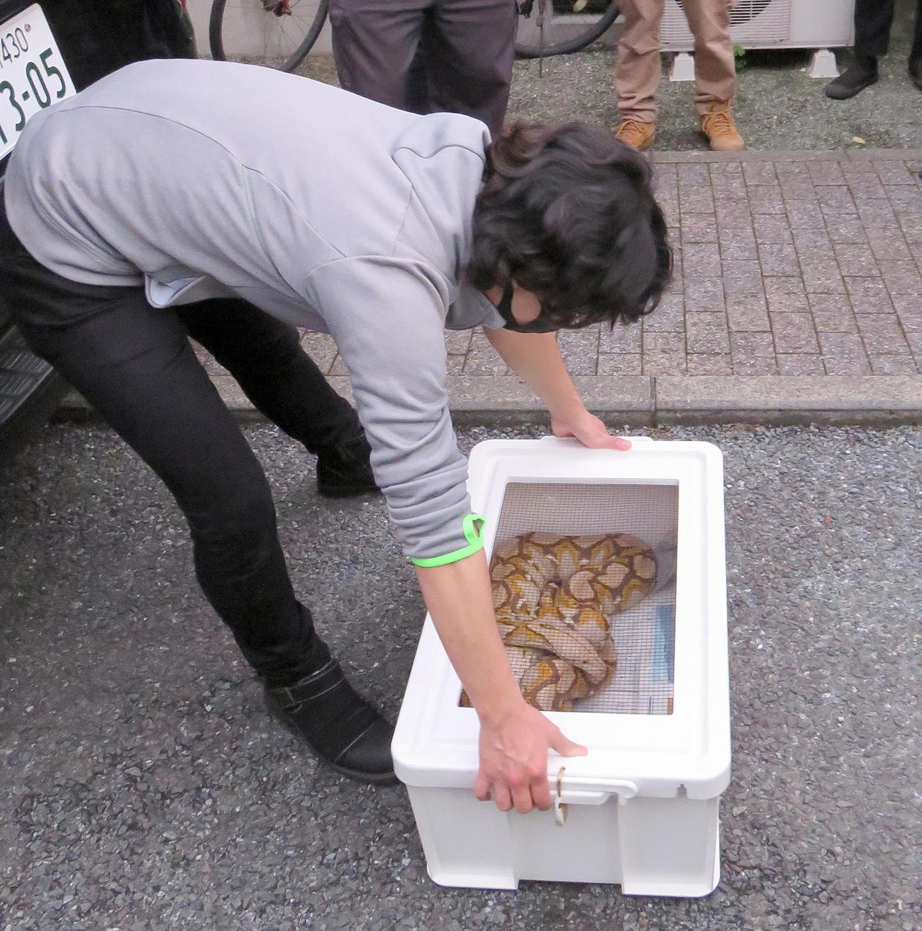 アミメニシキヘビを披露する飼い主（撮影・鎌田直秀）