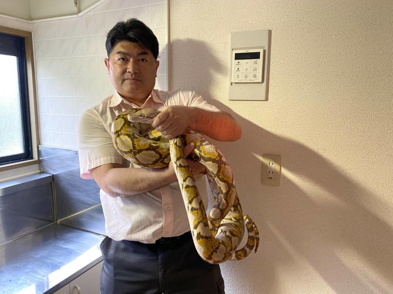 日本爬虫類両生類協会の白輪剛史理事長は捕獲した蛇を優しく抱きかかえた（白輪氏提供）
