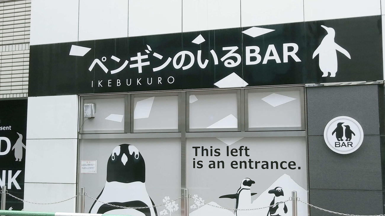 東京都豊島区池袋の「ペンギンのいるBAR」