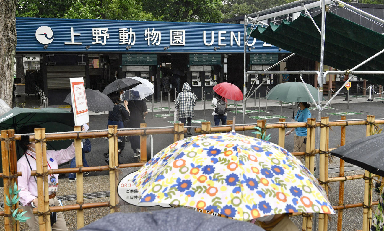 再開した東京・上野動物園に入場する人たち（共同）