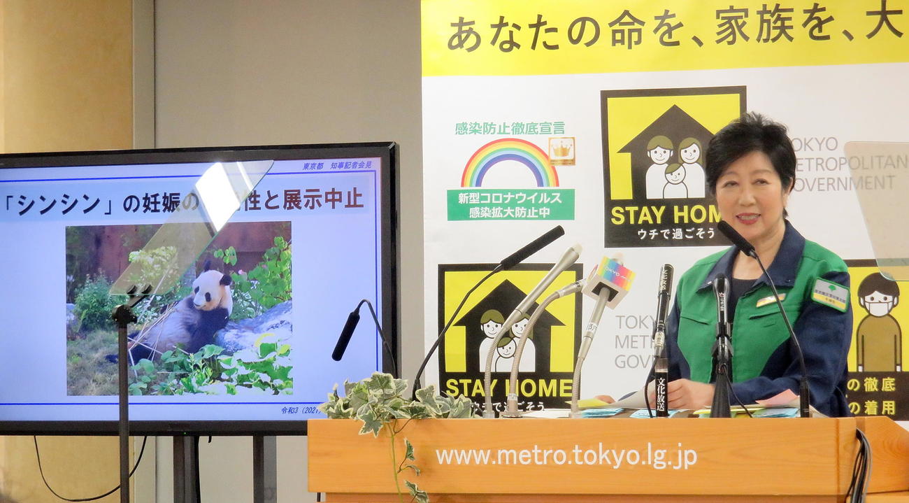 定例会見で上野動物園のジャイアントパンダ「シンシン」の妊娠兆候を報告する笑顔の小池都知事（撮影・鎌田直秀）