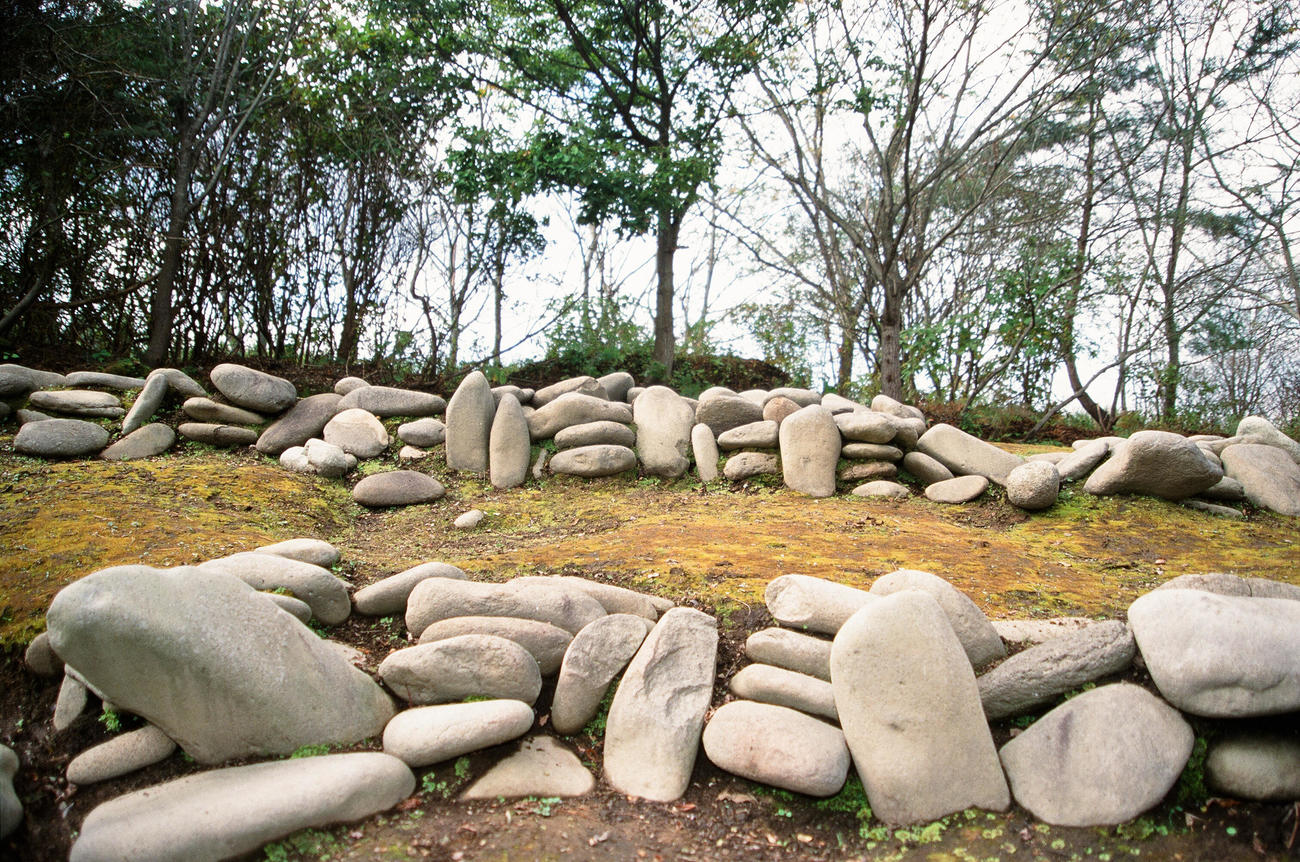 約2900個の石で造られている小牧野遺跡環状列石（JOMON ARCHIVES提供　青森市教育委員会撮影）