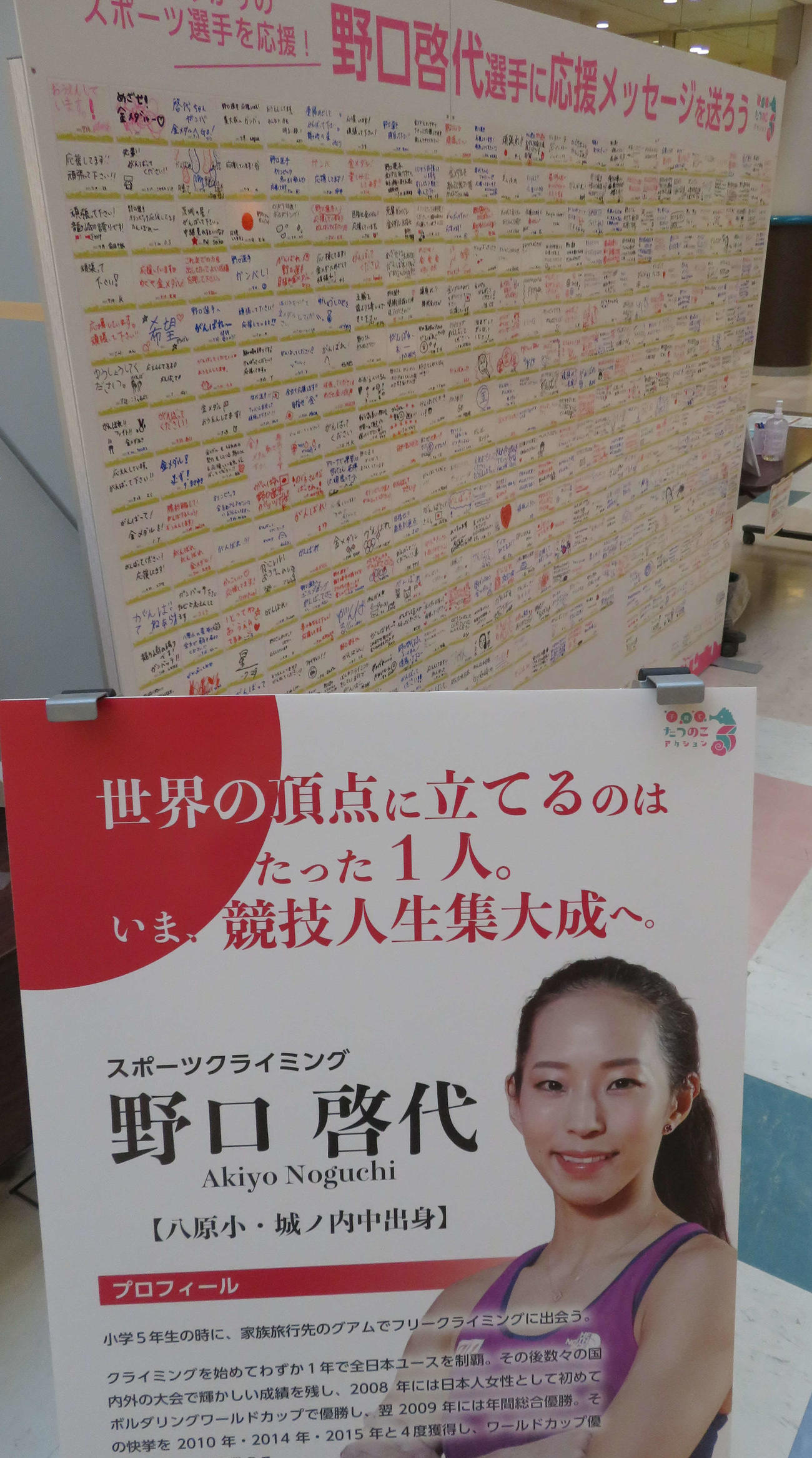 龍ケ崎市のショッピングセンター「サプラ」に設置されている応援ボード
