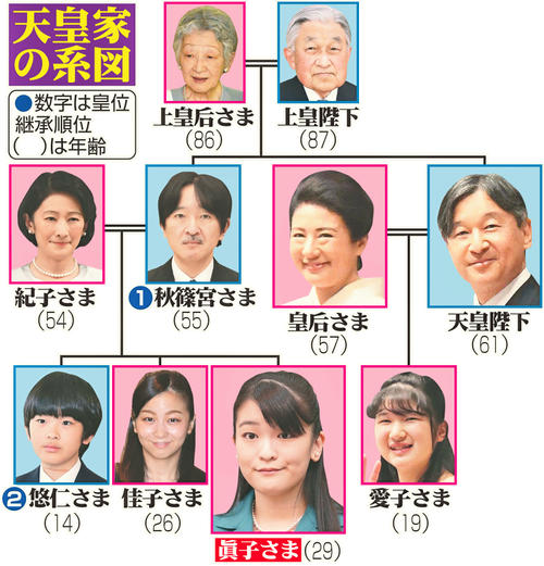 眞子さま小室圭さん儀式行わず異例ずくめ年内結婚へ 近くおふたりで説明も 社会 日刊スポーツ