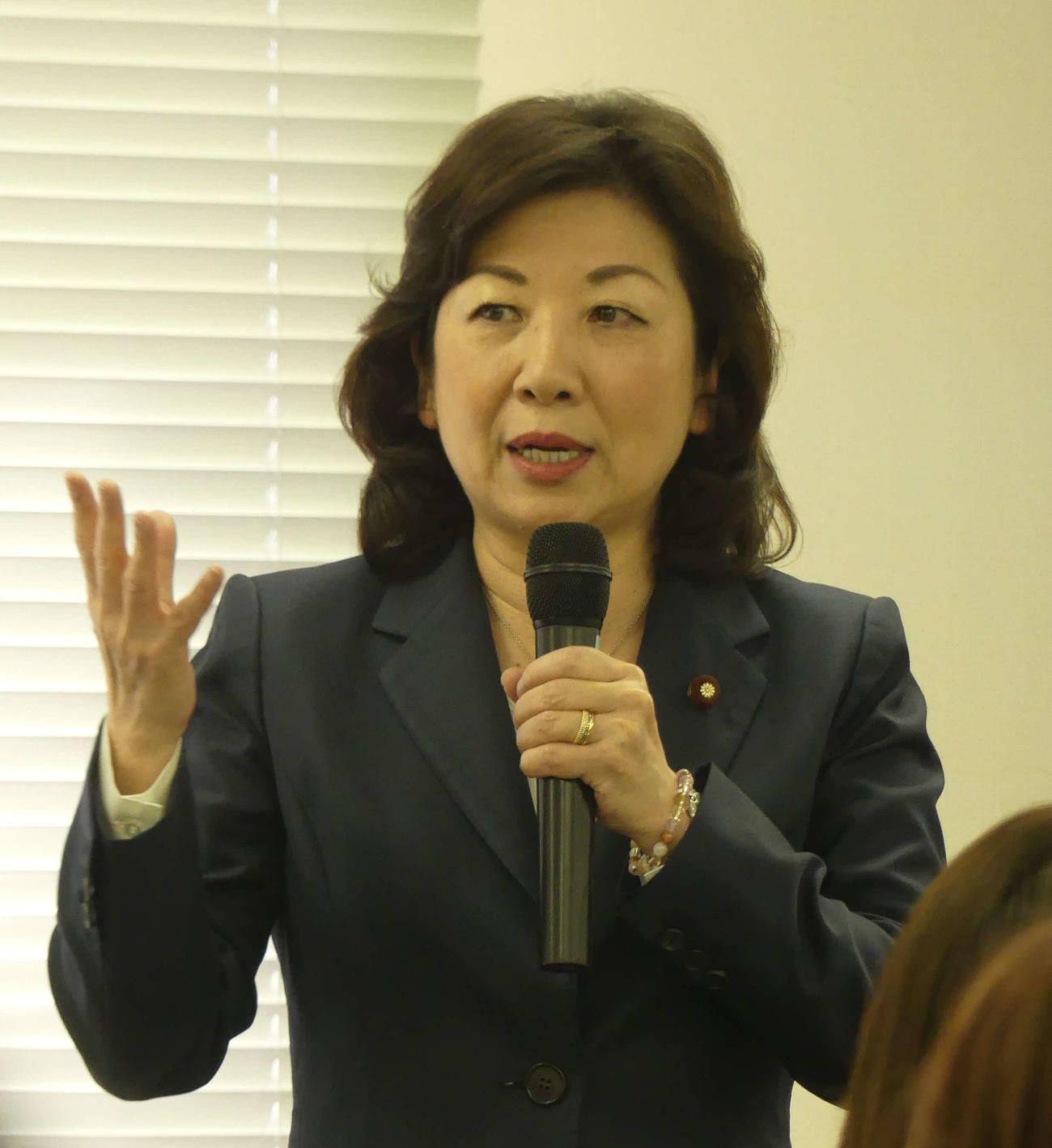 自民党の野田聖子氏（19年4月撮影）