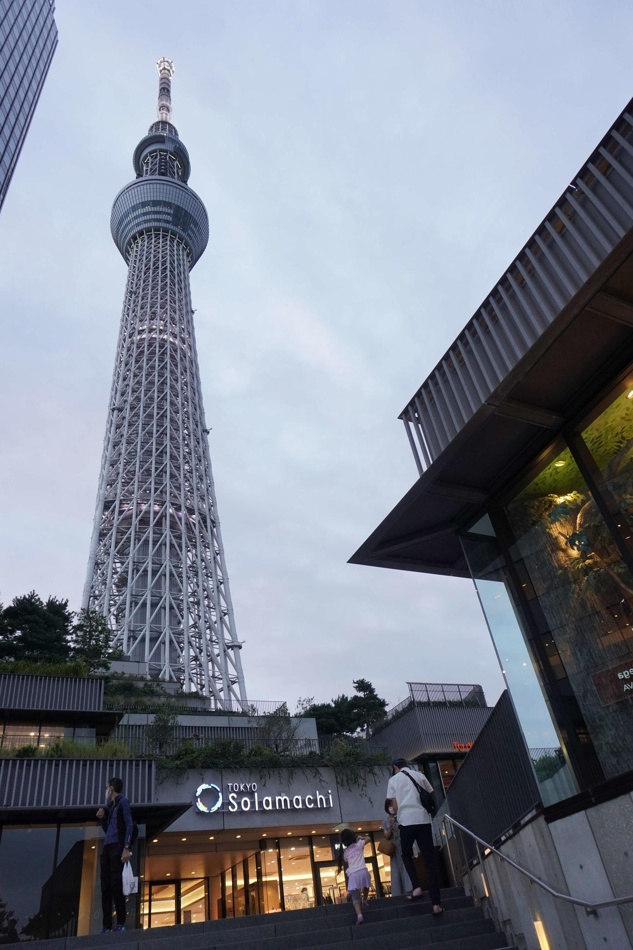 緊急事態宣言解除後の東京スカイツリーには多くの家族連れが訪れた（撮影・沢田直人）