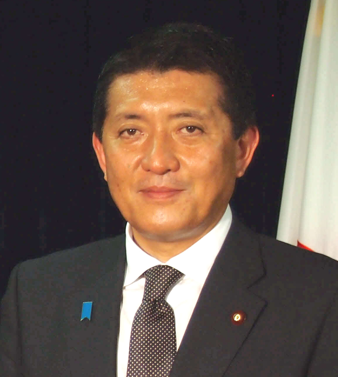 平井卓也前デジタル相（2013年6月撮影）