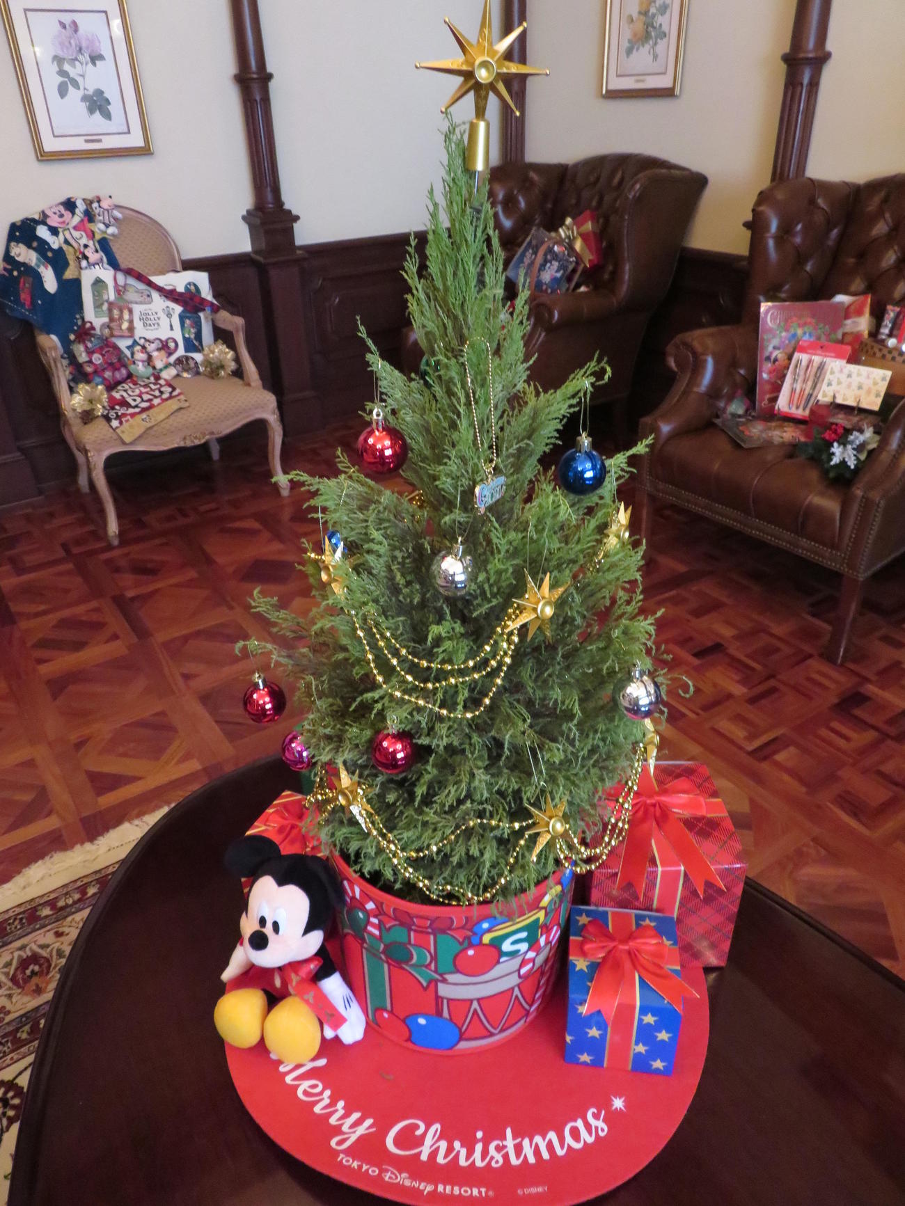 東京ディズニーランドの生のもみの木を使ったクリスマスツリーセット。11月14日で予約は終了となる（撮影・寺沢卓）