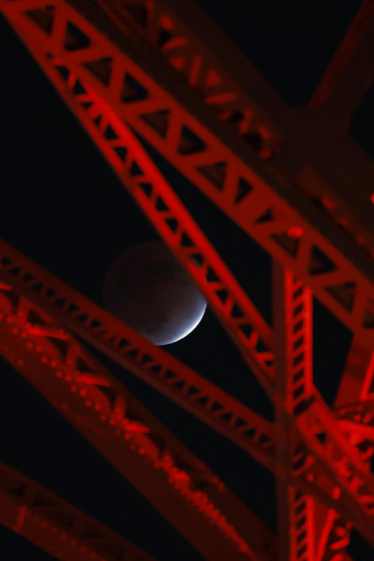 エンゼルス大谷のMVP獲得を祝い特別ライトアップされる東京タワーの隙間から見える部分月食する月（撮影・垰建太）