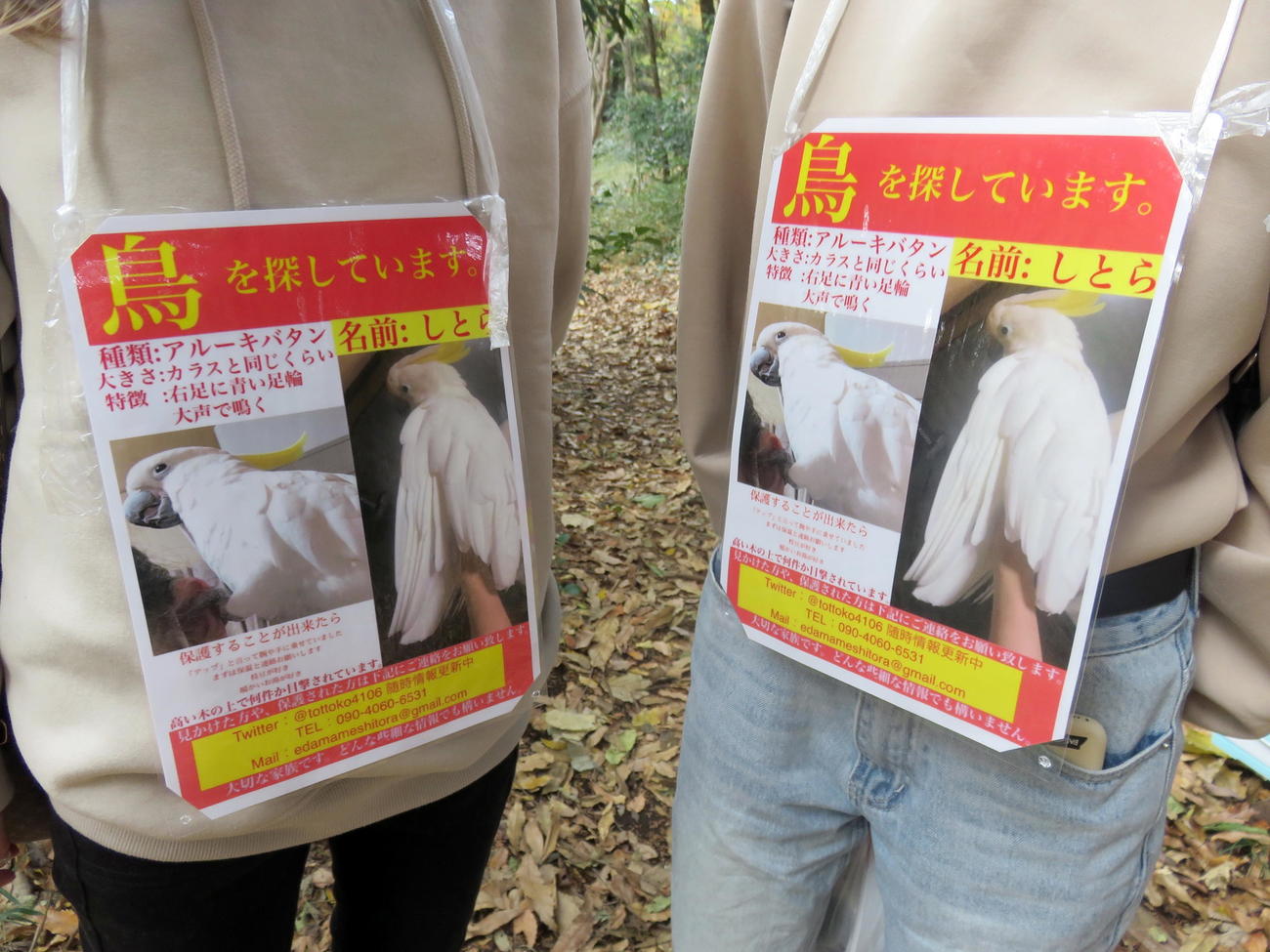 ポスターを首からかけて捜索を行う女性たち（撮影・鎌田直秀）