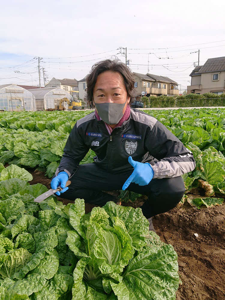 東京・三鷹市の農場伊藤園で自分で種をまいた白菜を収穫する石川さん（FC東京提供）