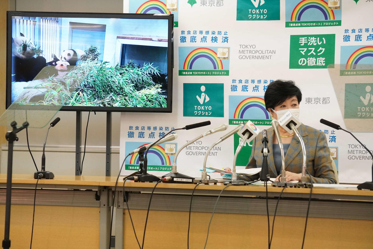 定例会見で上野動物園の双子のジャイアントパンダの公開日を発表した小池百合子知事（撮影・沢田直人）