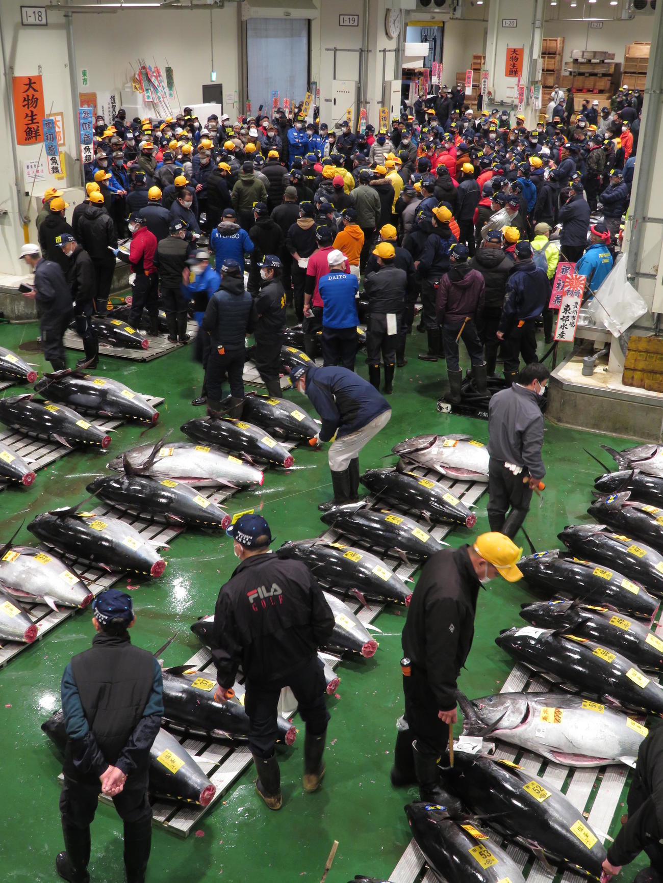 東京・豊洲市場で生のホンマグロの初競りが行われた（寺沢卓）