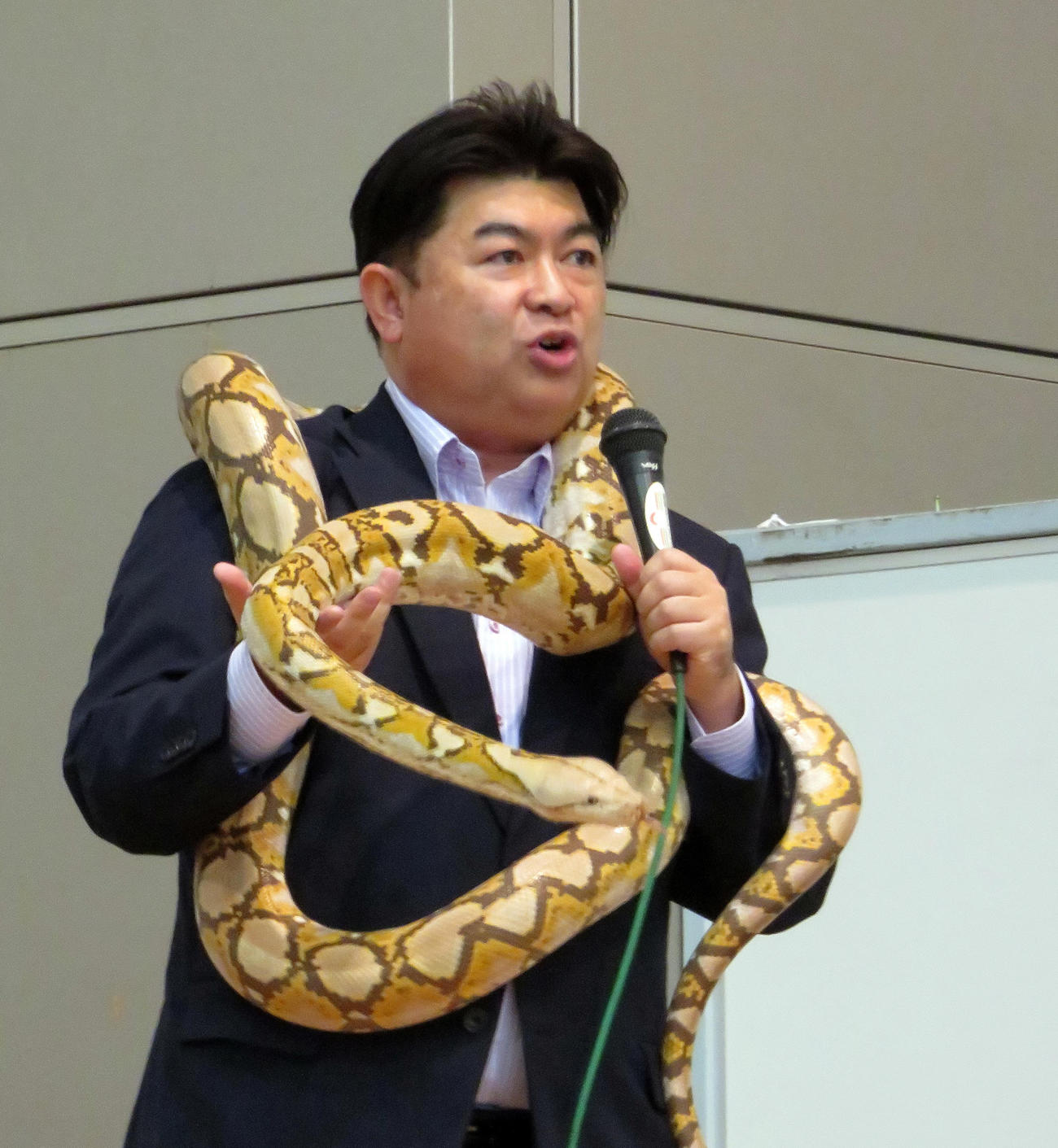 ジャパンレプタイルズショーのトークショーで昨年5月に横浜で逃走し捕獲したアミメニシキヘビを体に巻く体感型動物園iZoo白輪剛史園長（撮影・鎌田直秀）
