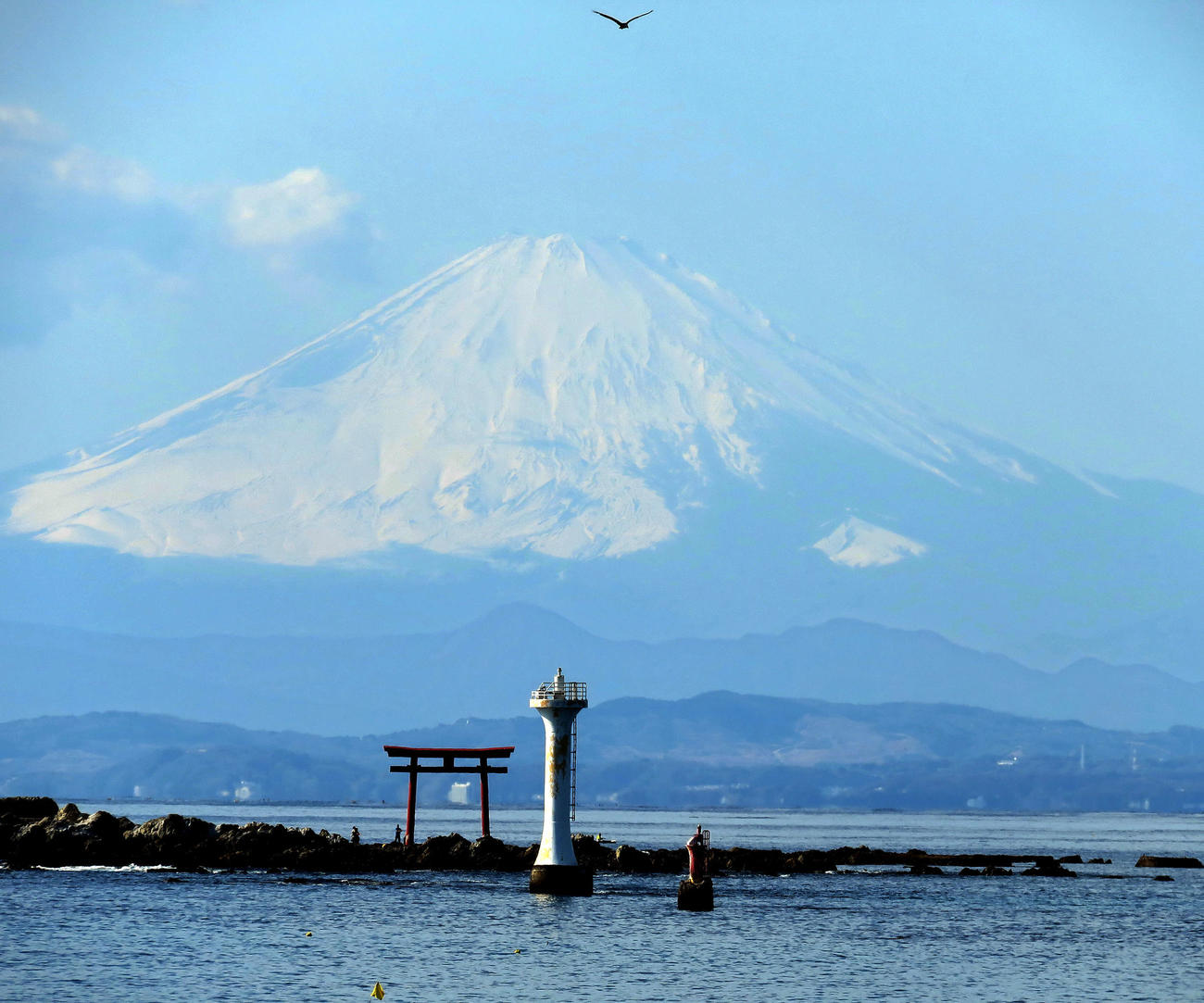 雄大な富士山をバックに葉山町のシンボルにもなっている白い裕次郎灯台（中央）（撮影・鎌田直秀）