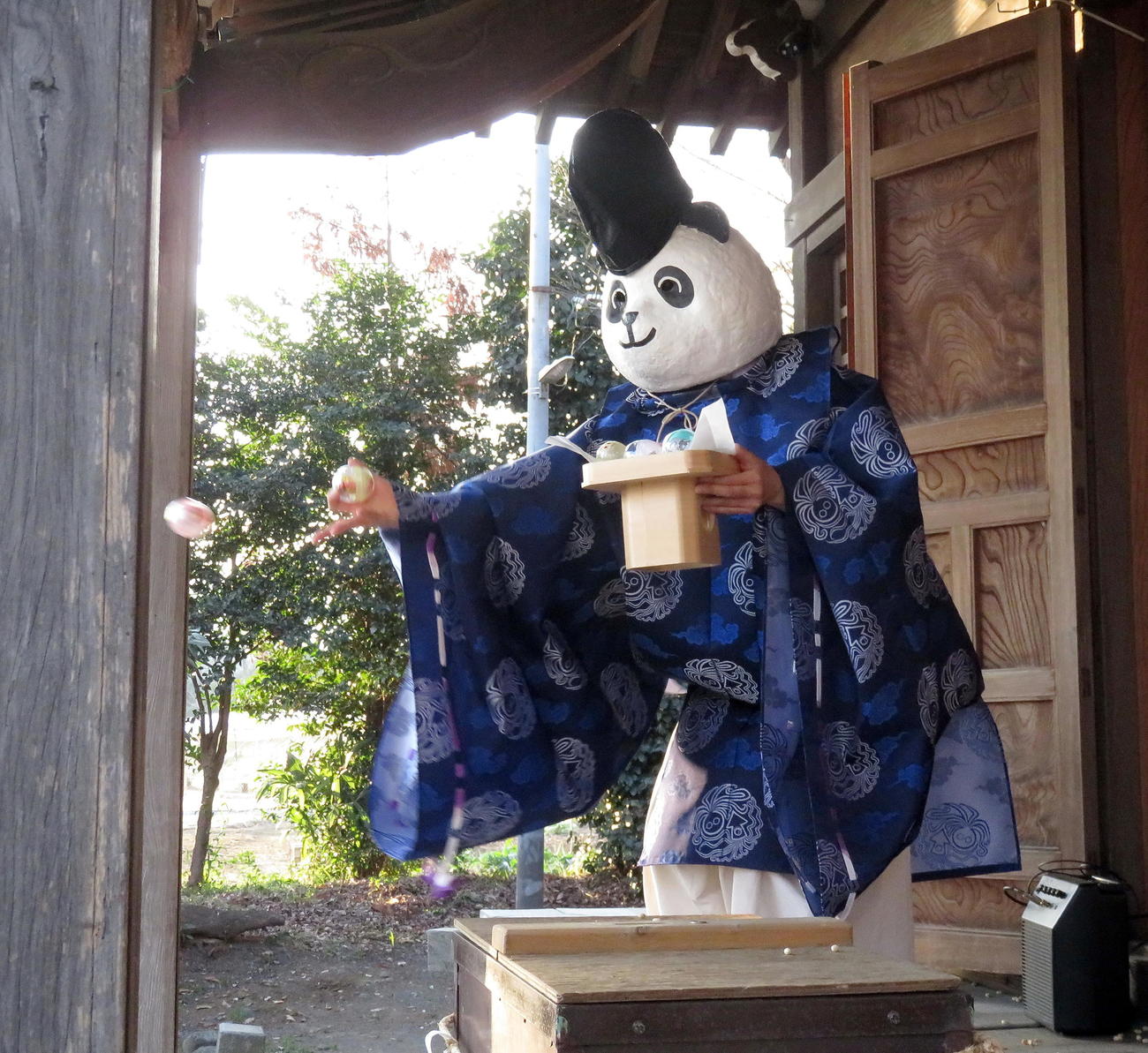 有鹿神社本殿でパンダ関連のおもちゃをまくパンダ宮司（撮影・鎌田直秀）