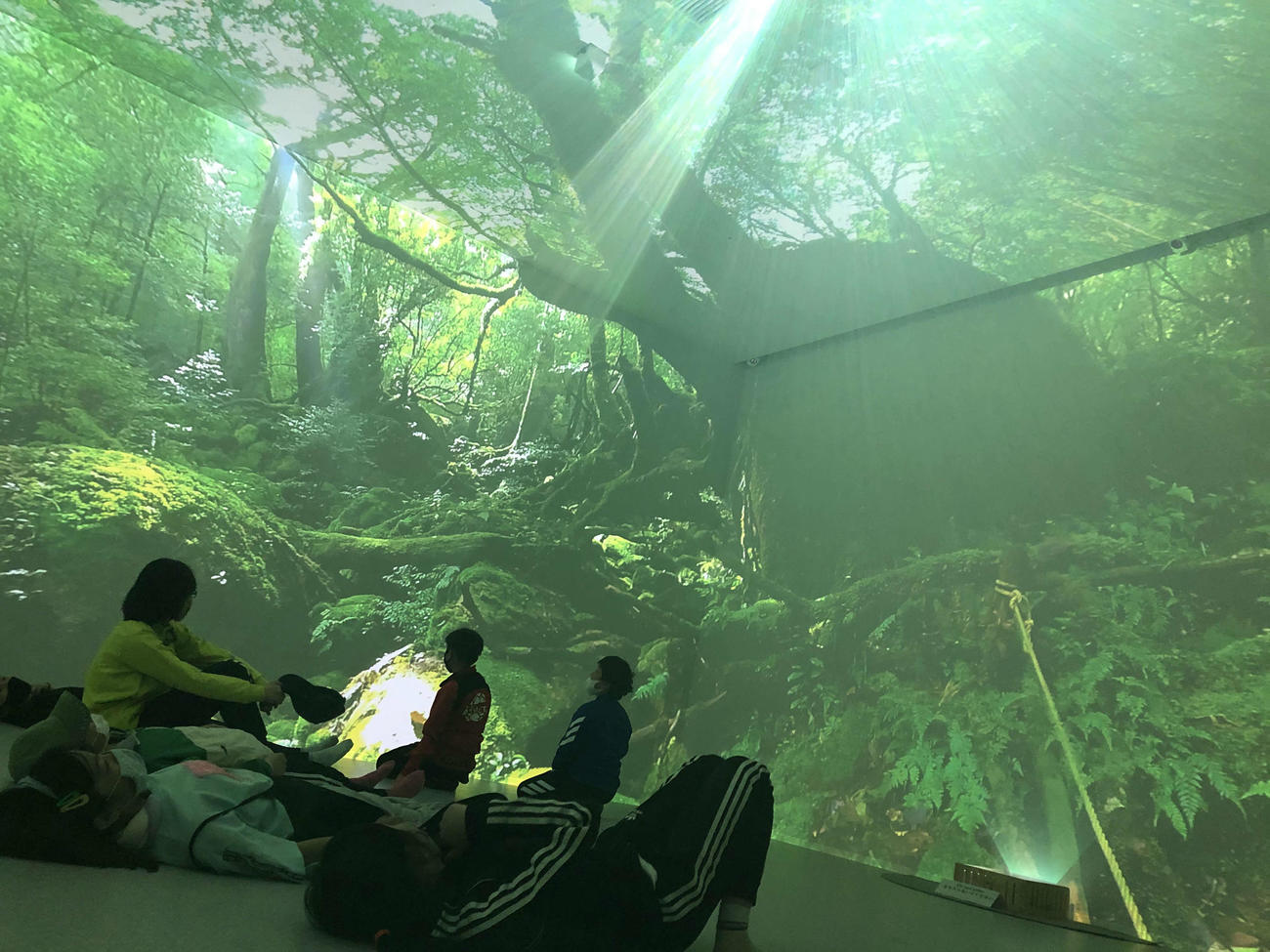 ヘッドマウンドディスプレー不要、普通に過ごしながら没入感を味わえる世界初のVR空間サービス「uralaa」（外部提供）