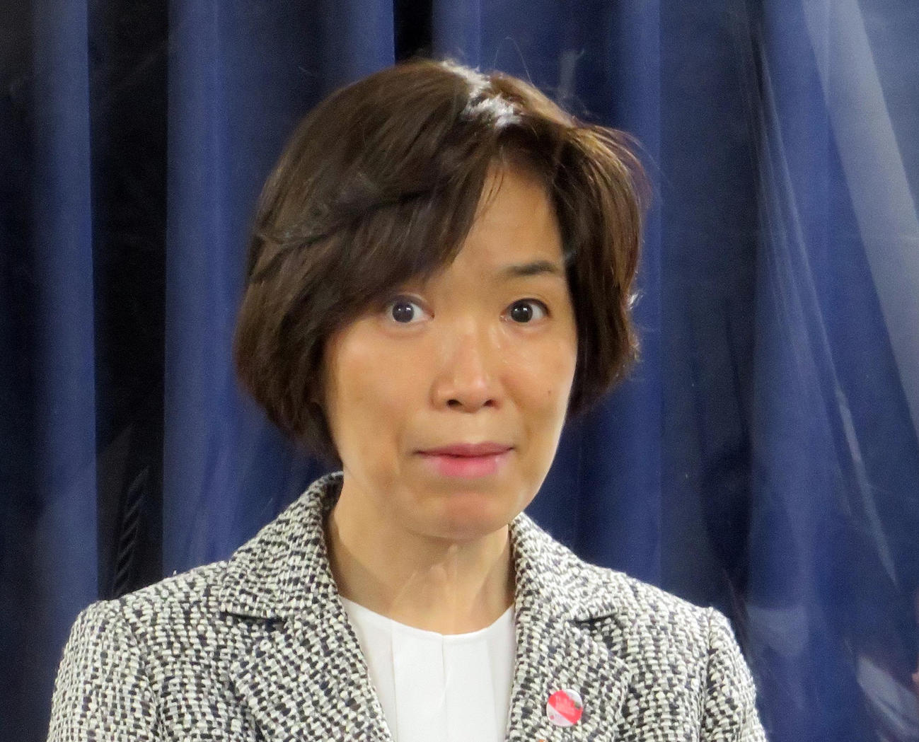 堀内詔子ワクチン担当相（2021年11月5日撮影）