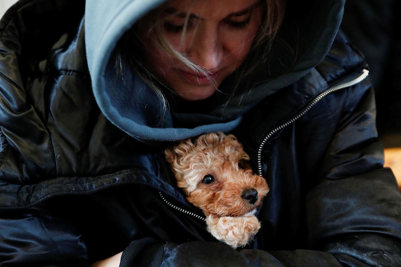 ロシアからの侵略から逃げ犬を胸元に抱え込む女性（ロイター）