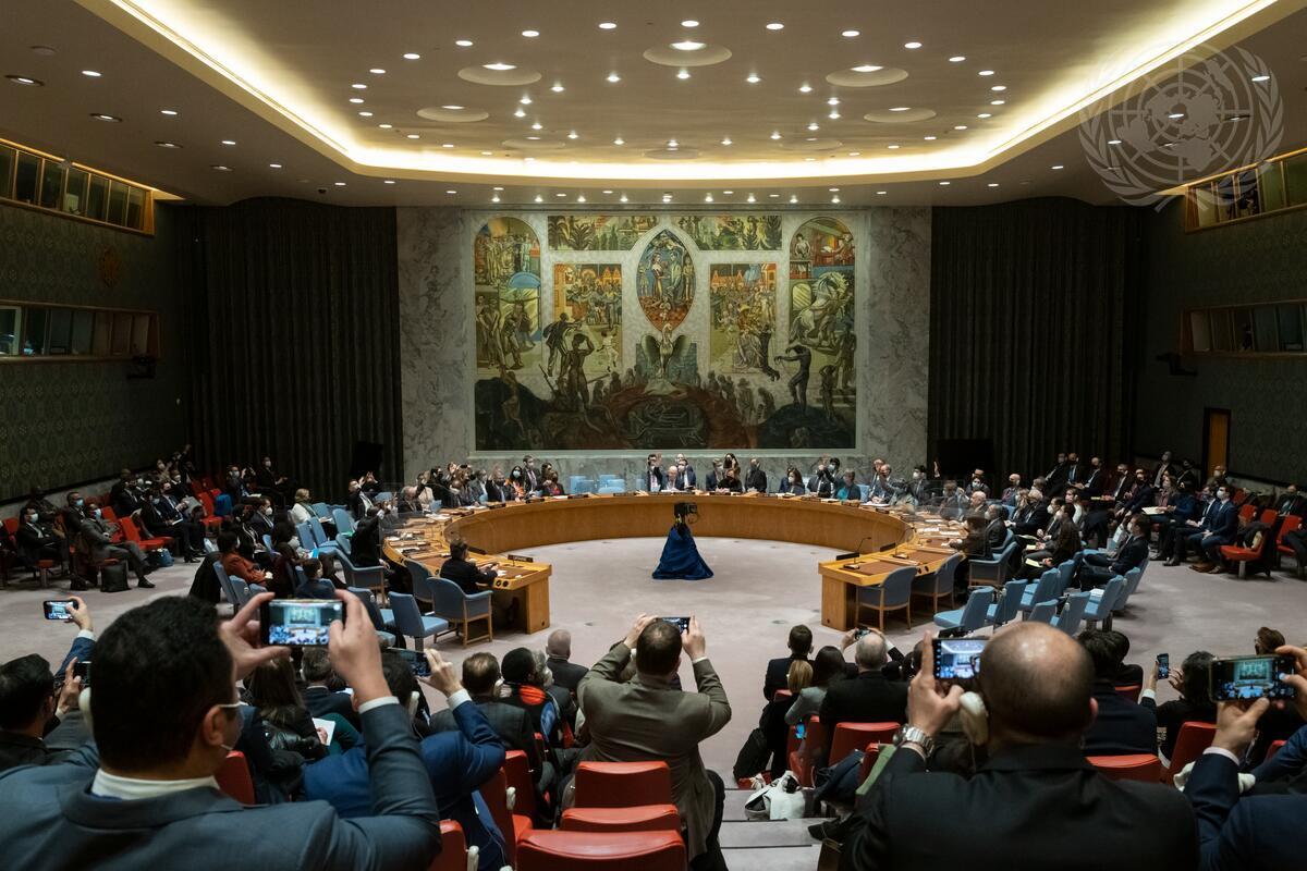 ロシアが拒否権を行使した2月25日の国連安保理。傍聴席で見守った各国代表もスマホを取り出し、写真を撮影した（UN Photo／Mark Garten）