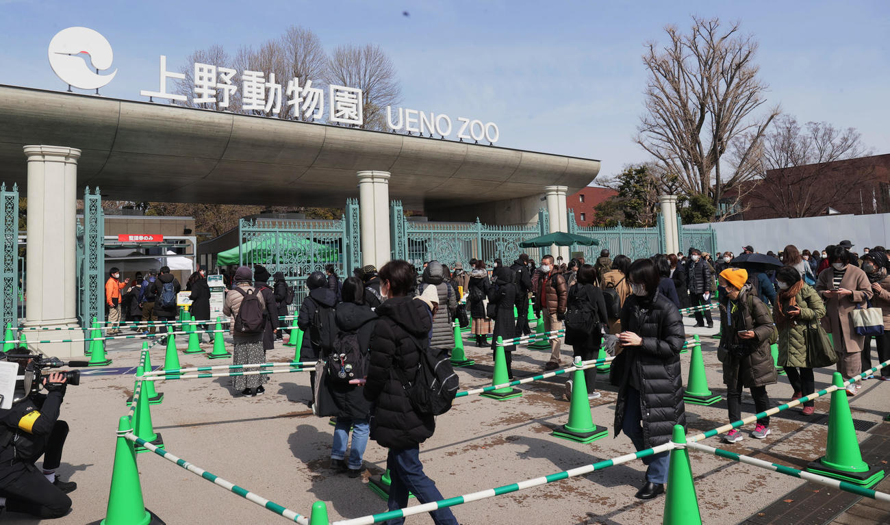再開した上野動物園に入園する人たち（撮影・野上伸悟）